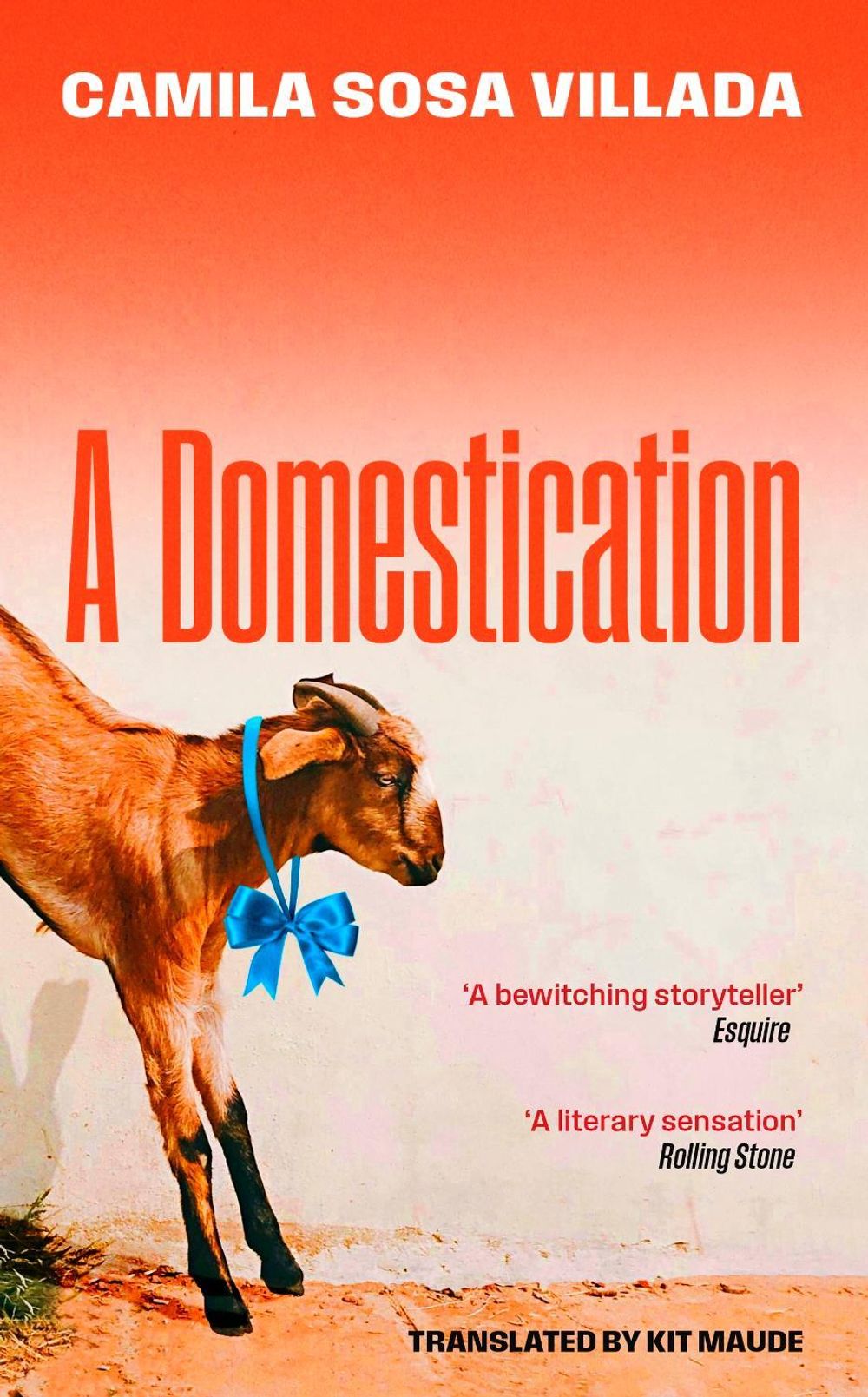 A Domestication by Camila Sosa Villada - ISBN: 9780349019918