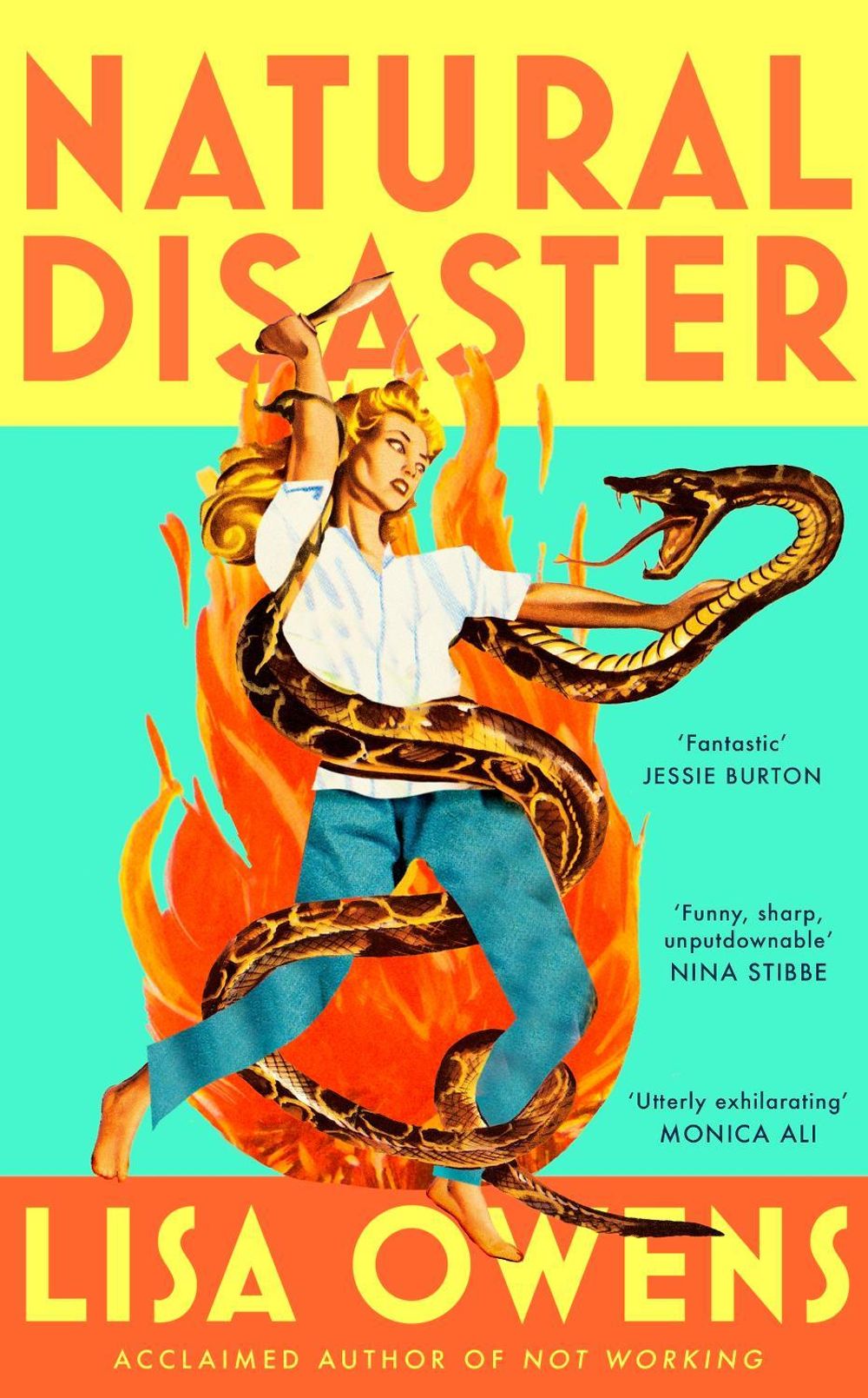 Natural Disaster by Lisa Owens - ISBN: 9780349020242