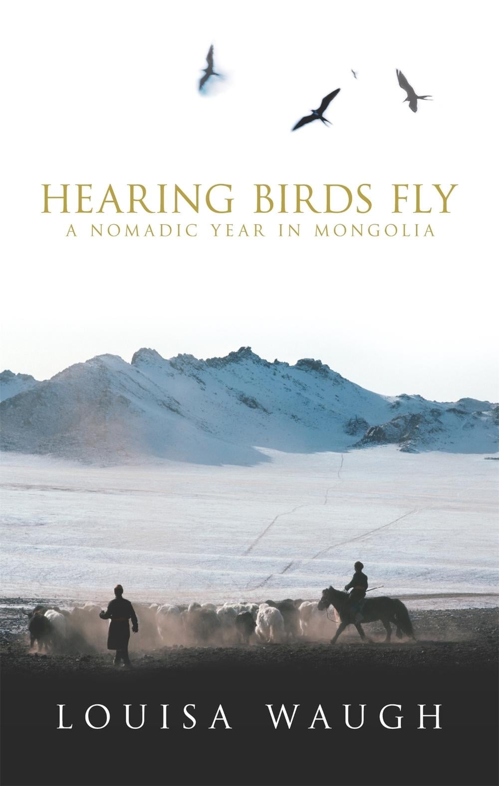 Hearing Birds Fly by Louisa Waugh - ISBN: 9780349115801