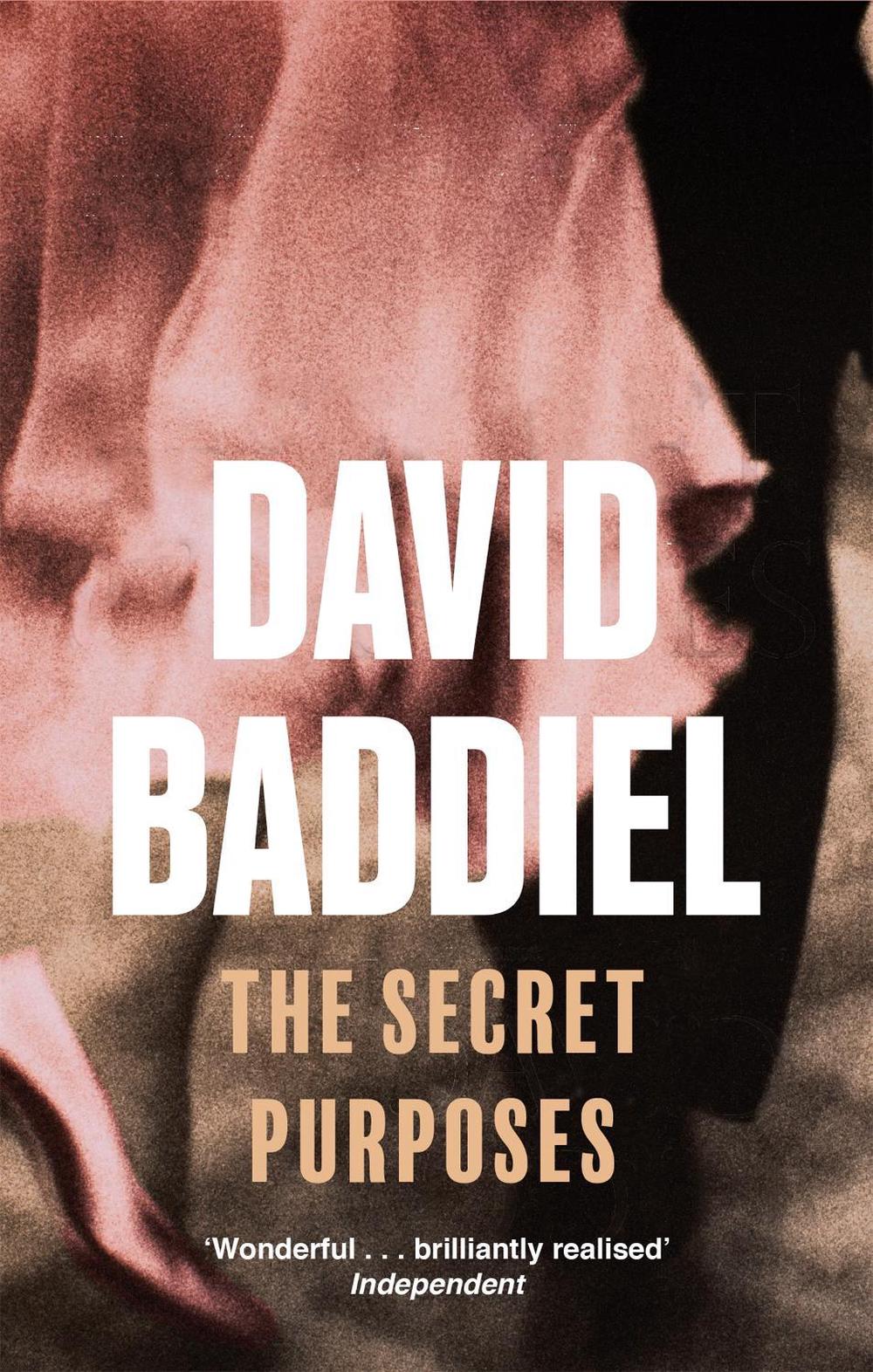 The Secret Purposes by David Baddiel - ISBN: 9780349117461