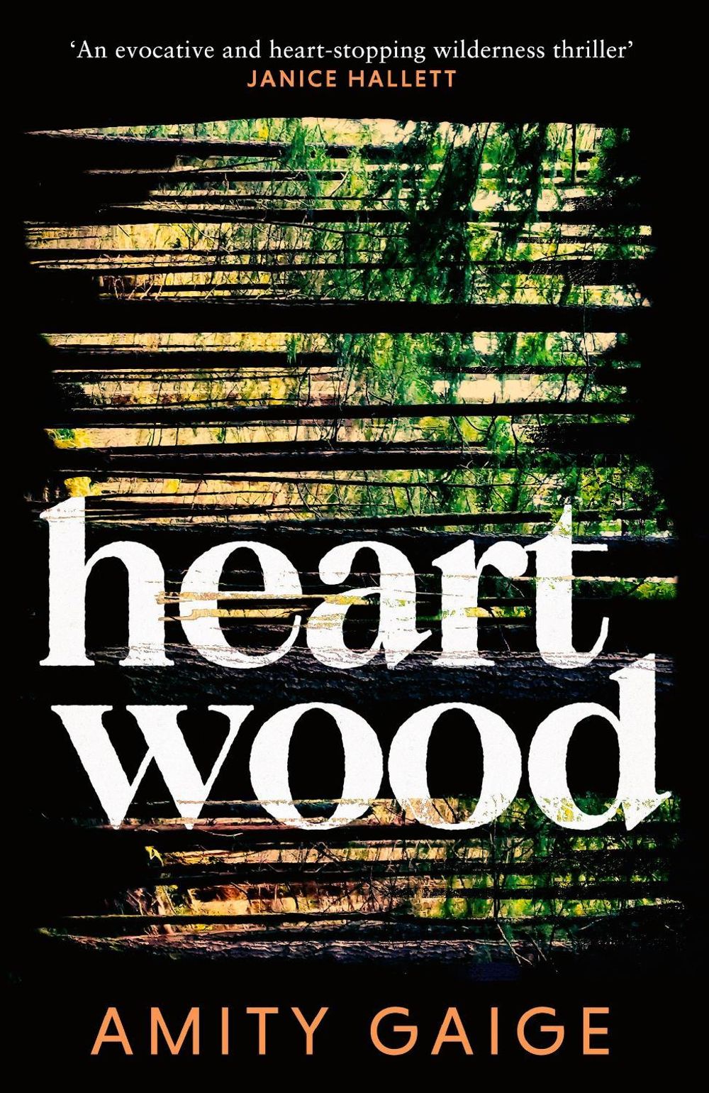 Heartwood by Amity Gaige - ISBN: 9780349127569