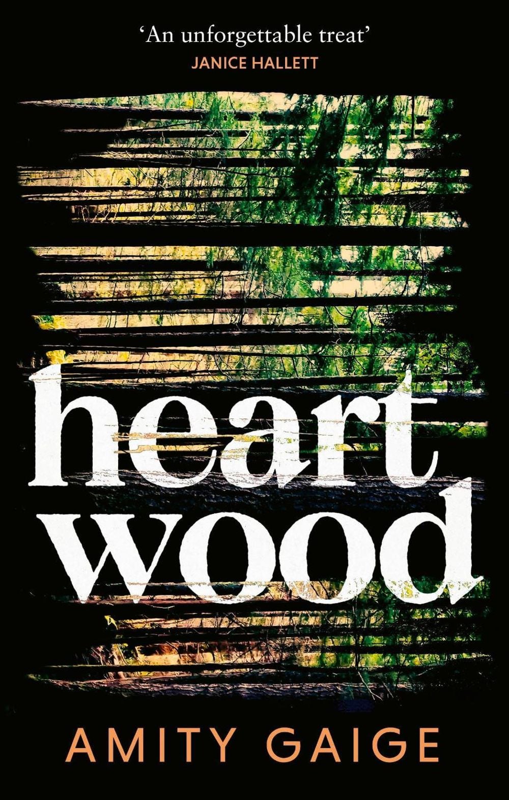 Heartwood by Amity Gaige - ISBN: 9780349127583