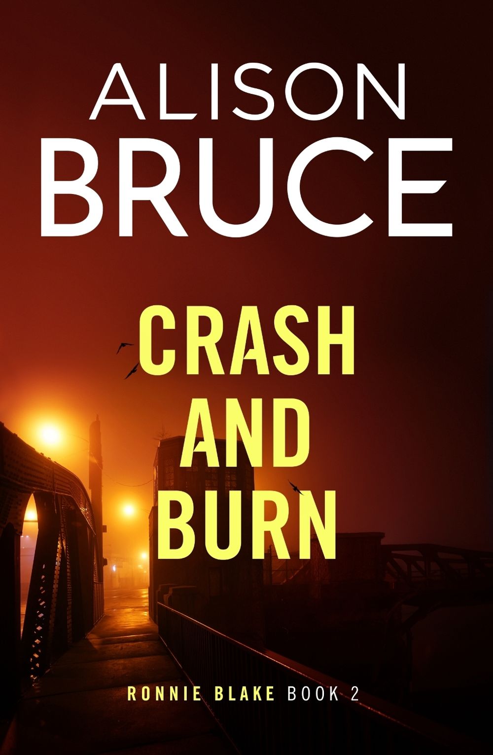 Crash and Burn by Alison Bruce - ISBN: 9780349135434
