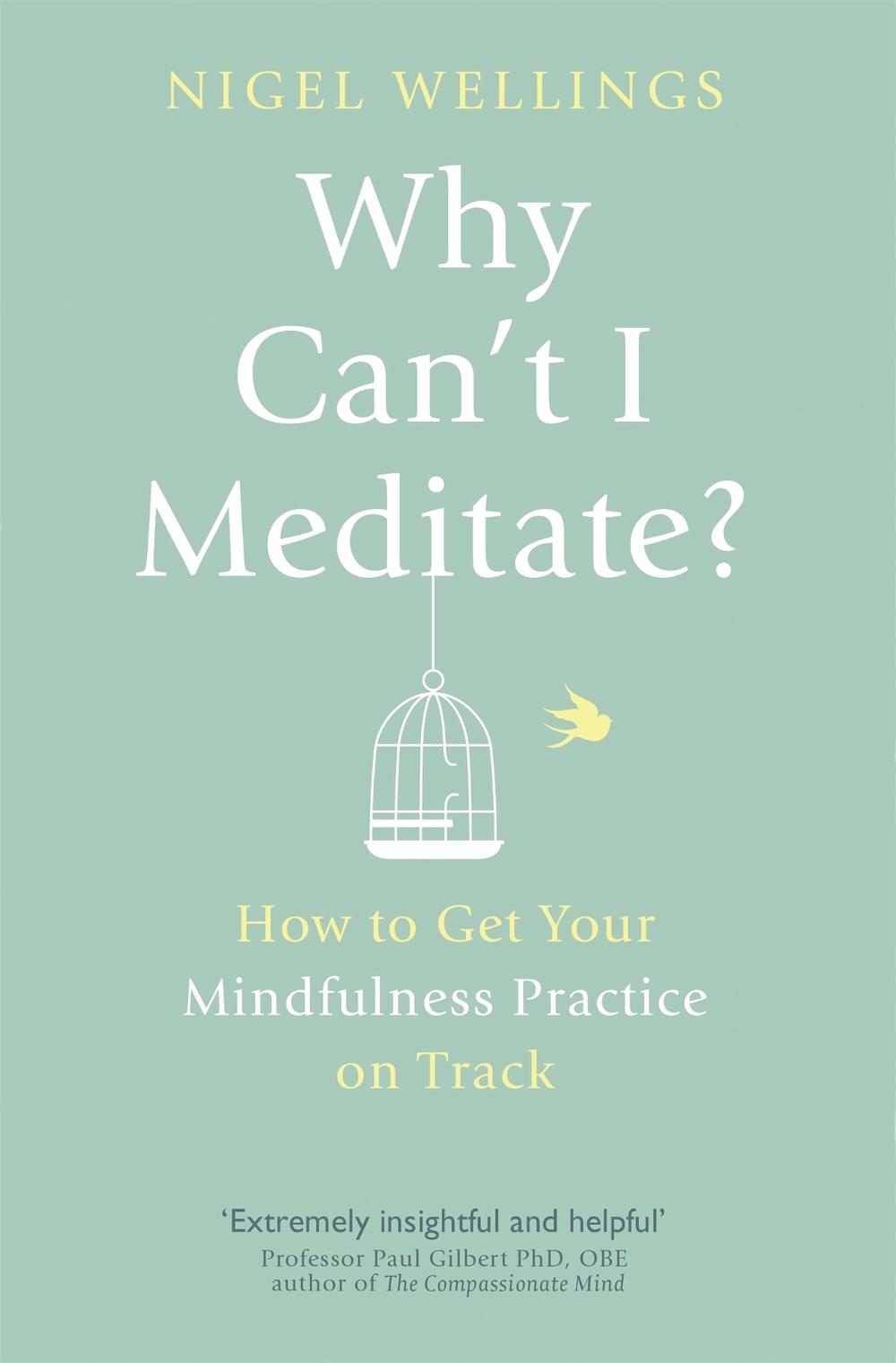 Why Can't I Meditate? by Nigel Wellings - ISBN: 9780349405759