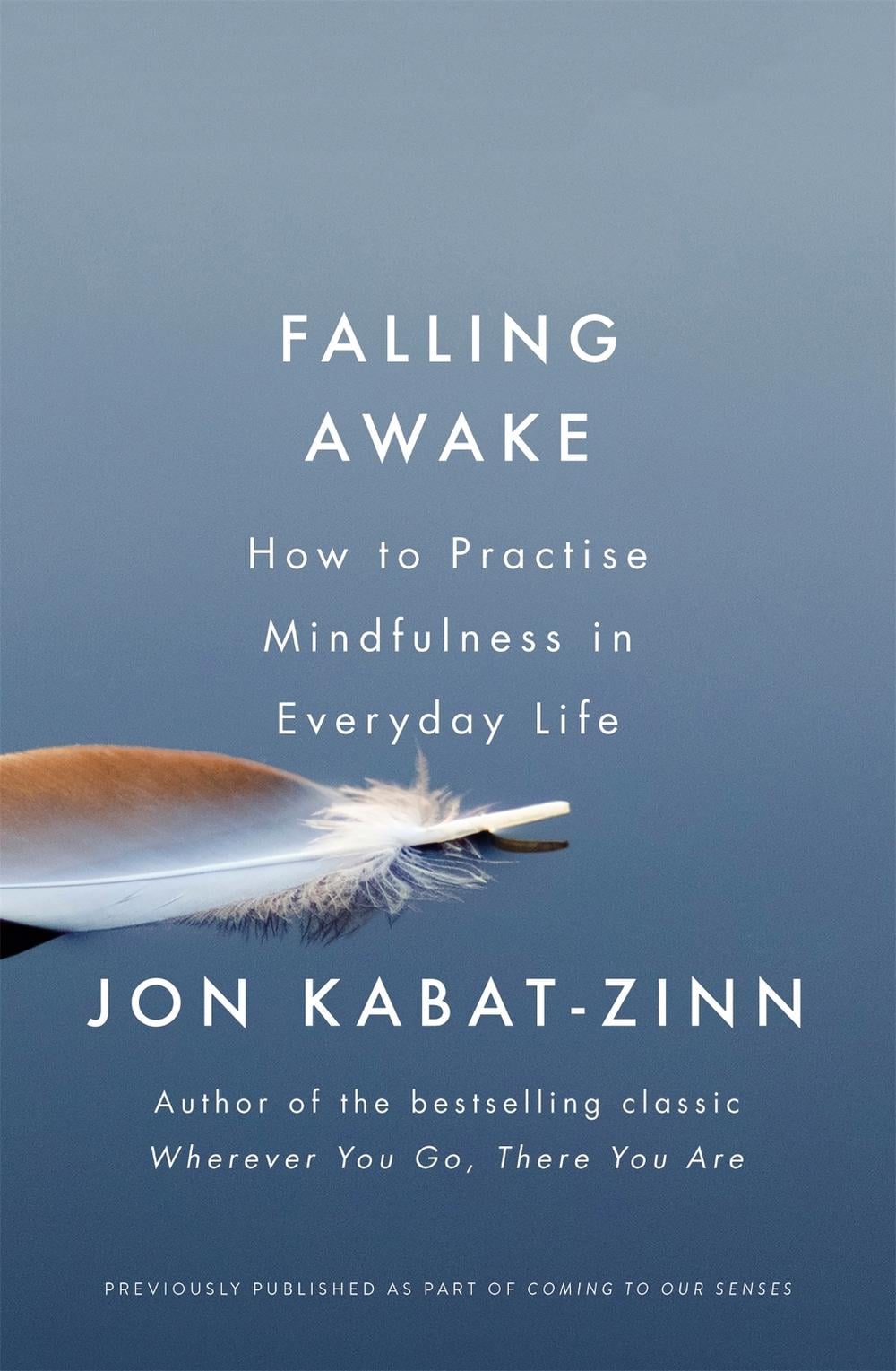 Falling Awake by Jon Kabat-Zinn - ISBN: 9780349421094