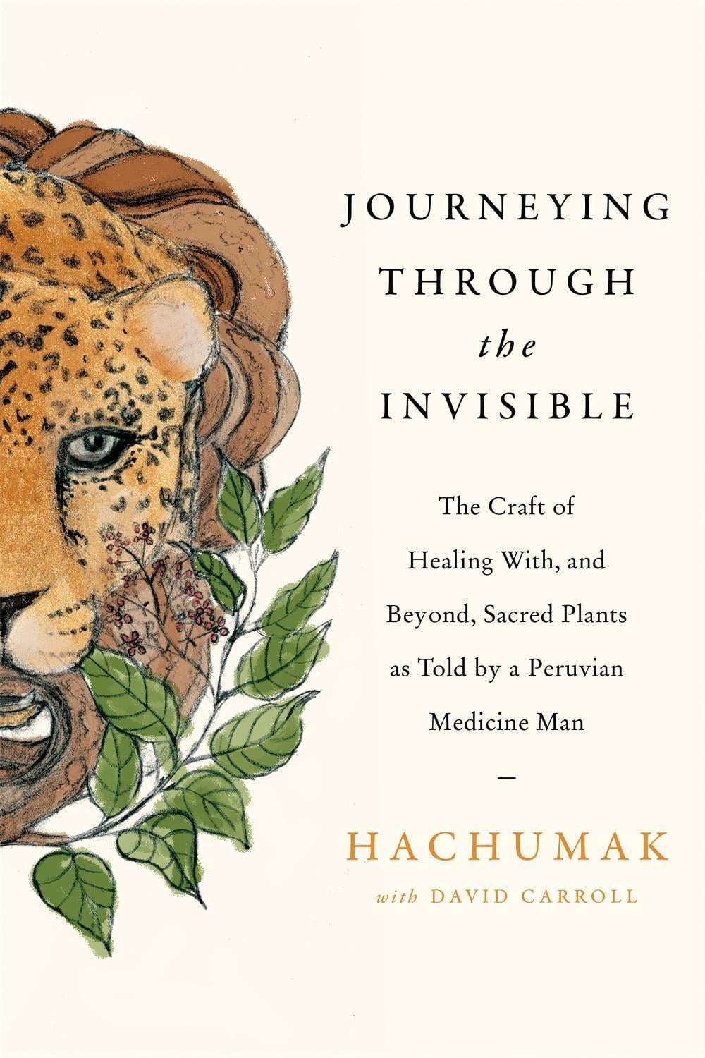 Journeying Through the Invisible by David Carroll - ISBN: 9780349427119