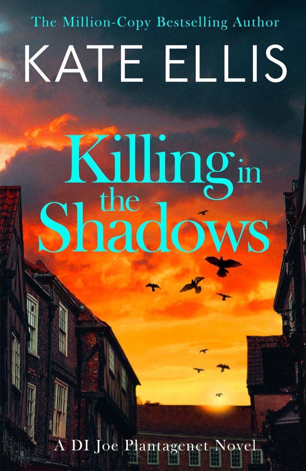 Killing in the Shadows by Kate Ellis - ISBN: 9780349443010
