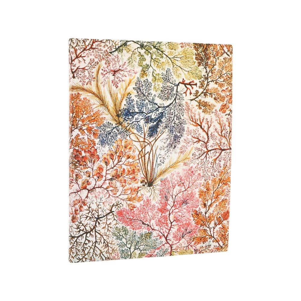 2026 Anemone (William Kilburn) Ultra 12-month Business Planner Softcover Flexi Dayplanner 2026 (Elastic Band Closure) by Paperblanks - ISBN: 9780349708591