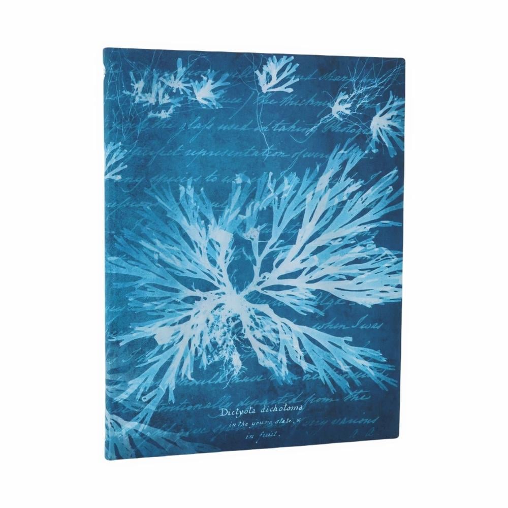 Sea Flowers (Anna Atkins’ Cyanotypes) Ultra Lined Softcover Journal (Elastic Band Closure) by Paperblanks - ISBN: 9780349713656