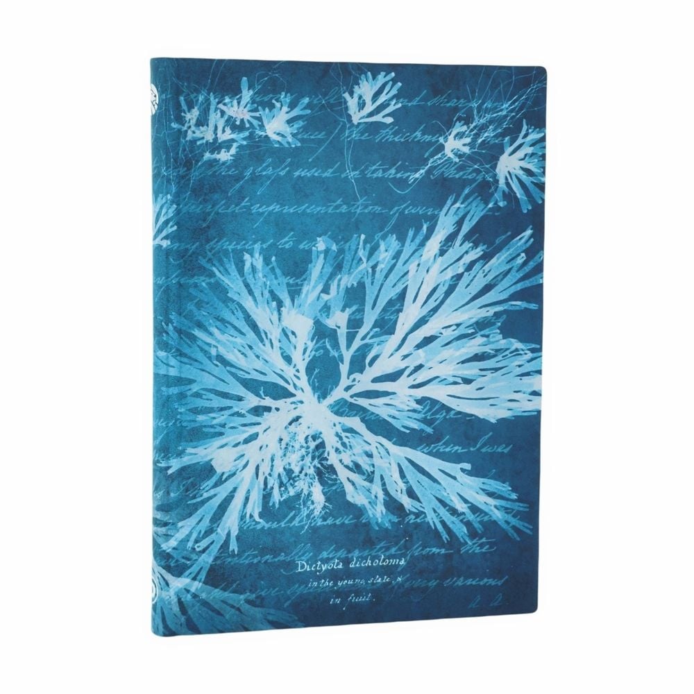 Sea Flowers (Anna Atkins’ Cyanotypes) Midi Lined Softcover Journal (Elastic Band Closure) by Paperblanks - ISBN: 9780349713670