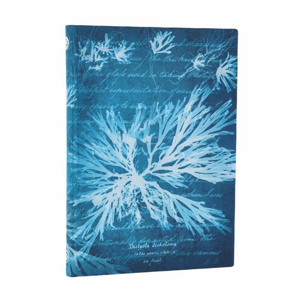 Sea Flowers (Anna Atkins’ Cyanotypes) Midi Unlined Softcover Journal (Elastic Band Closure) by Paperblanks - ISBN: 9780349713687
