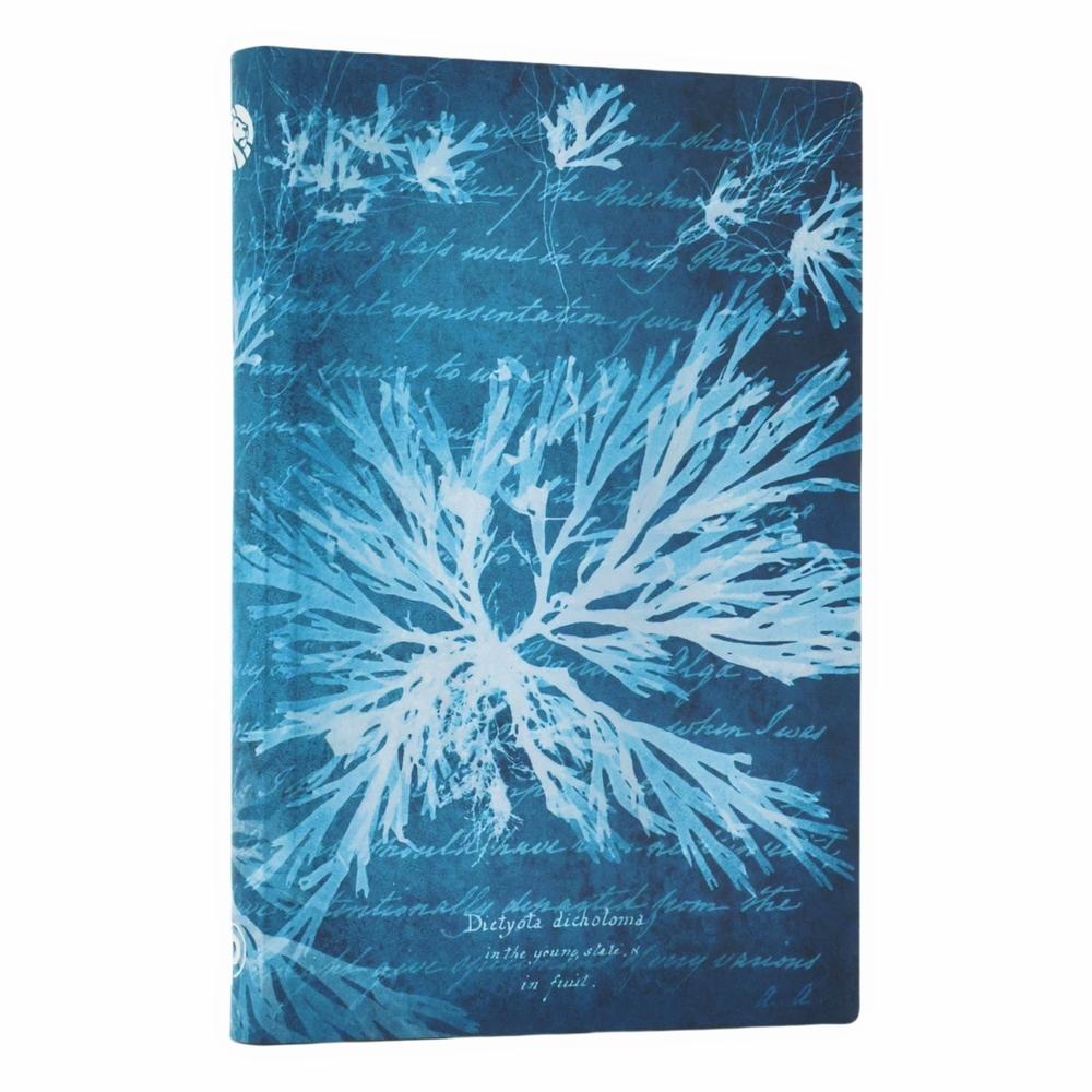 Sea Flowers (Anna Atkins’ Cyanotypes) Mini Lined Softcover Journal (Elastic Band Closure) by Paperblanks - ISBN: 9780349713694