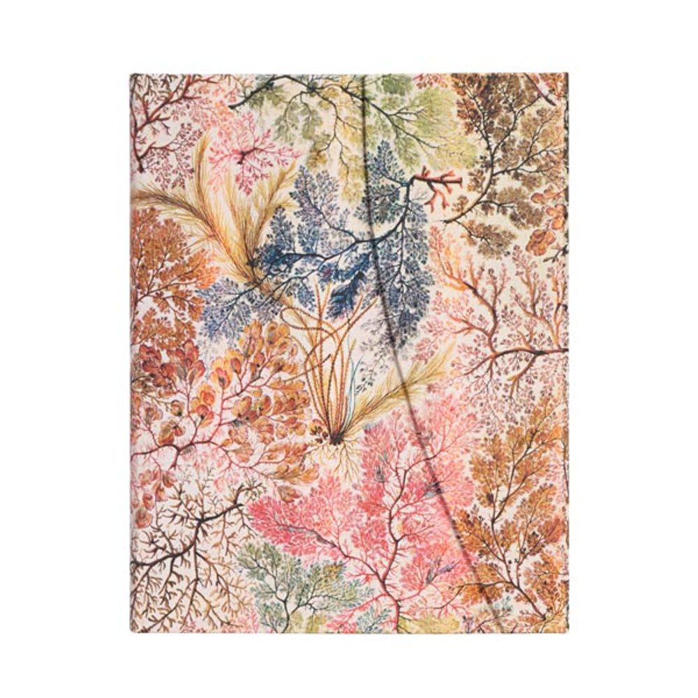 2027 Anemone (William Kilburn) Midi 12-Month Hardcover Dayplanner (Wrap Closure) Vertical by Paperblanks - ISBN: 9780349719306