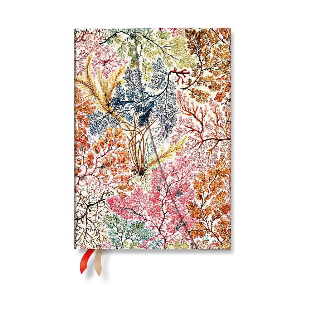 2027 Anemone (William Kilburn) Midi 12-Month Hardcover Dayplanner (Wrap Closure) Verso by Paperblanks - ISBN: 9780349719405