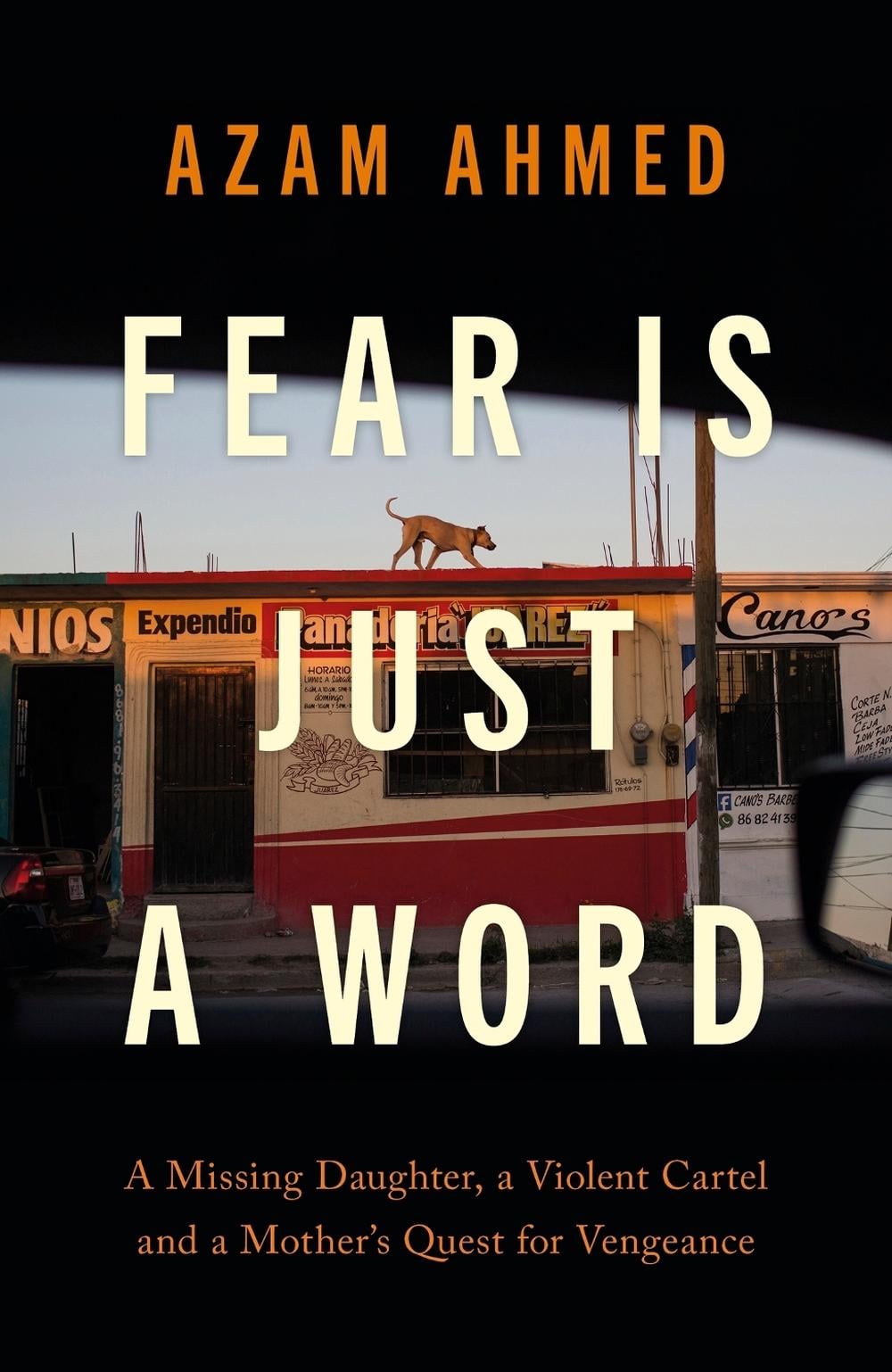 Fear is Just a Word by Azam Ahmed - ISBN: 9780349726915