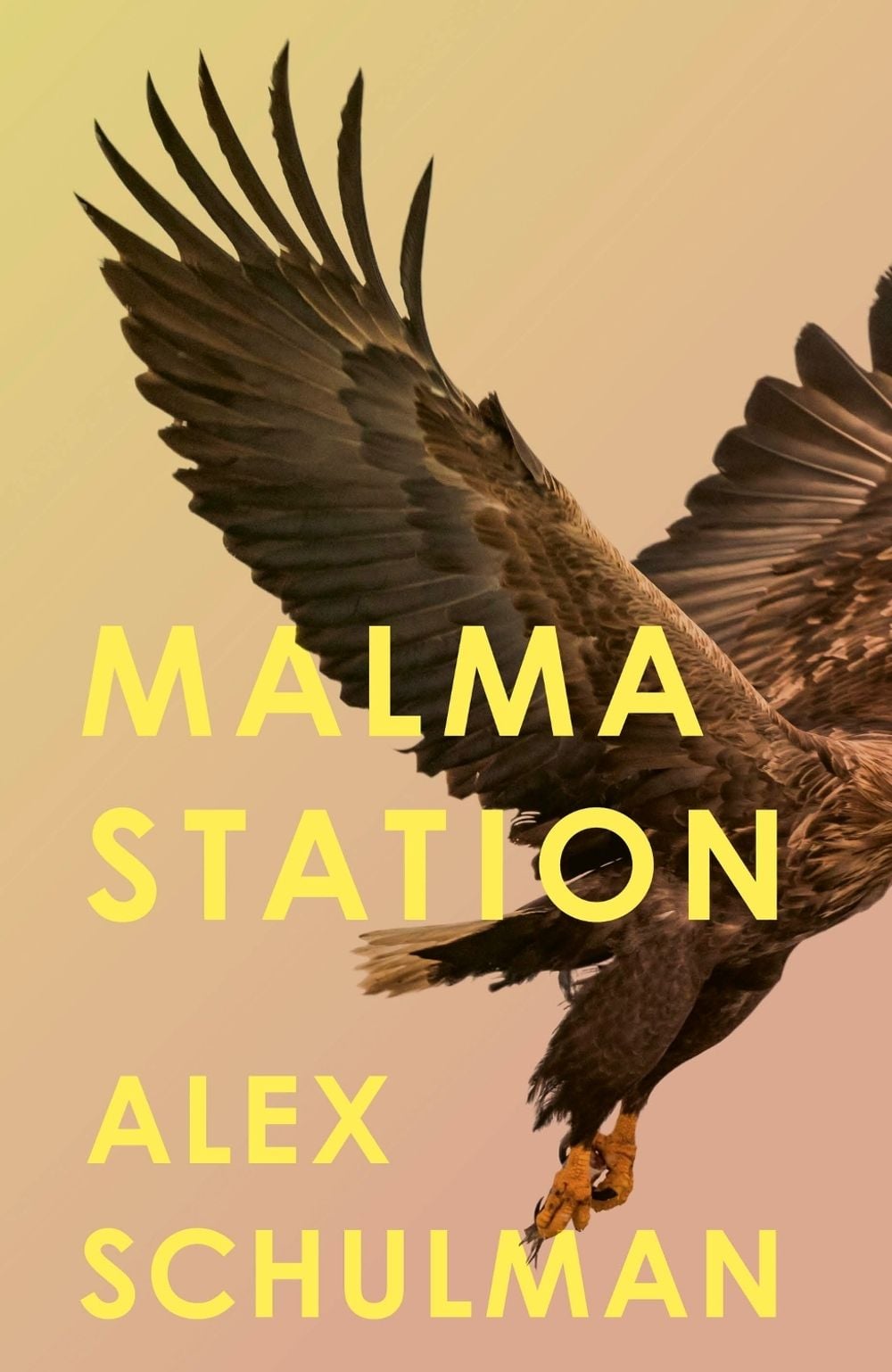 Malma Station by Alex Schulman - ISBN: 9780349728018