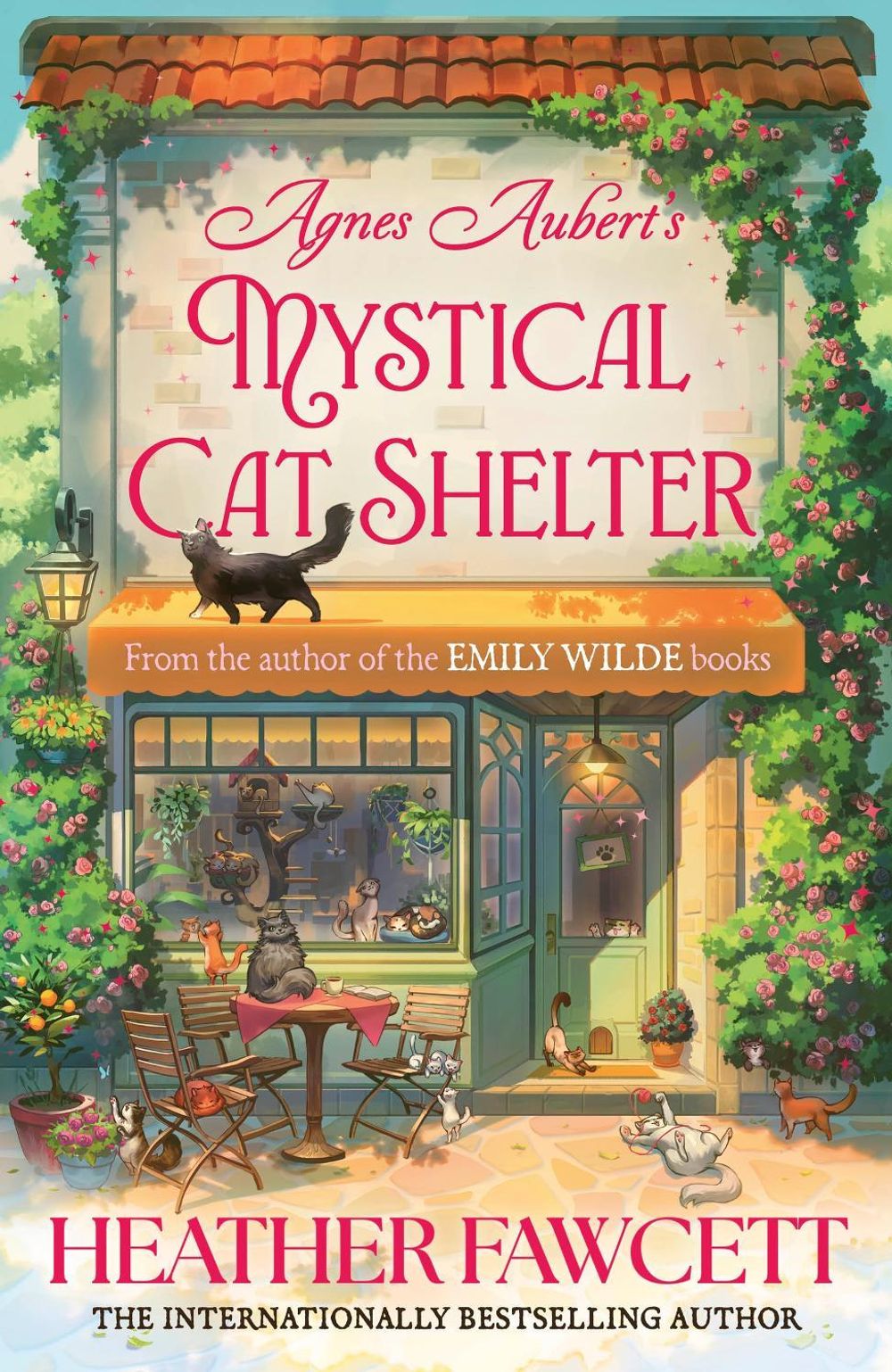 Agnes Aubert's Mystical Cat Shelter by Heather Fawcett - ISBN: 9780356525785