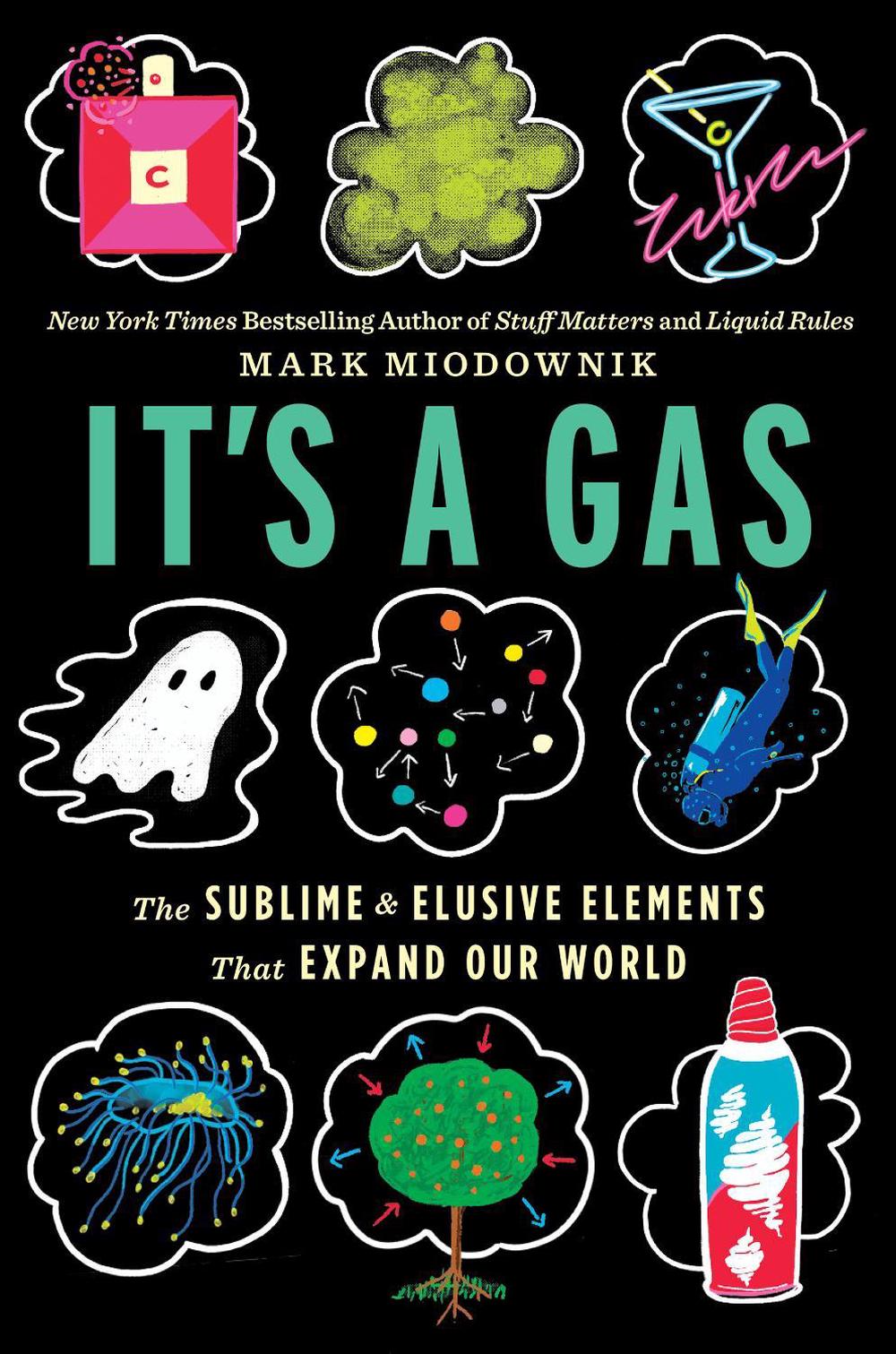 It's a Gas, 9780358157151