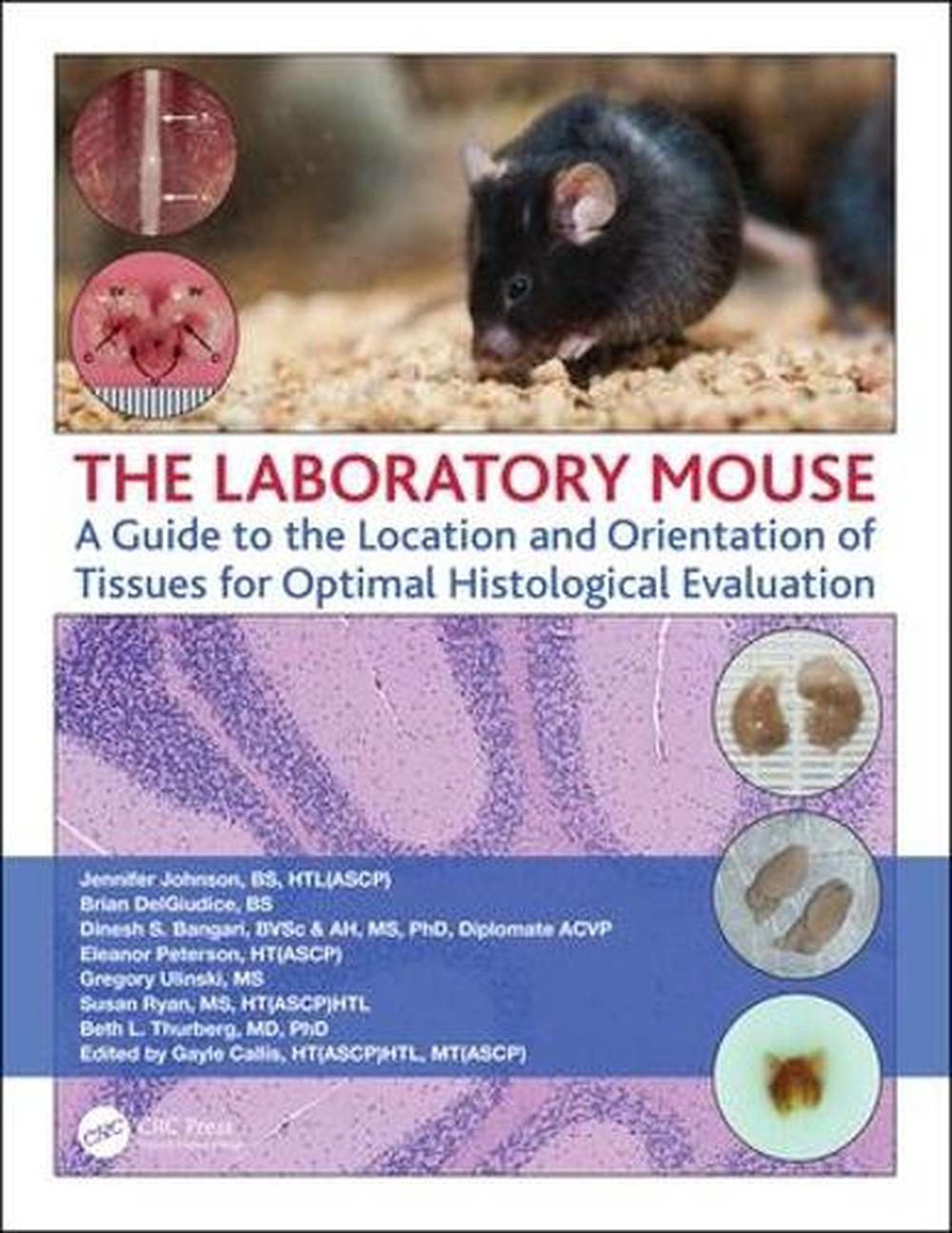 The Laboratory Mouse, 9780367177751