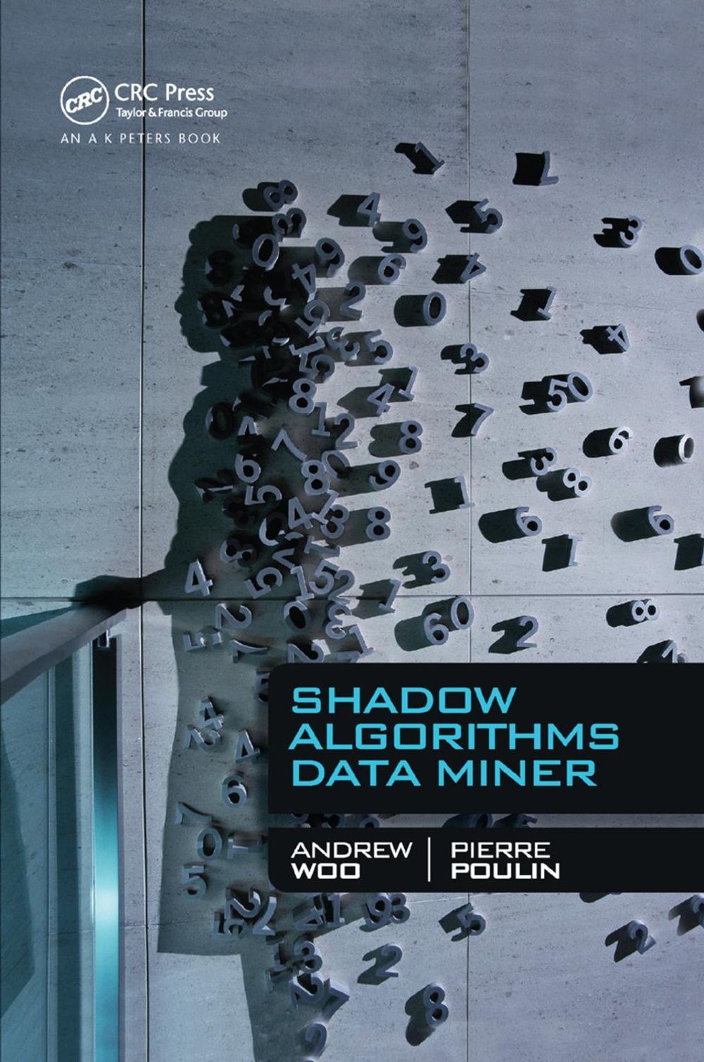 Shadow Algorithms Data Miner by Andrew Woo - ISBN: 9780367381240