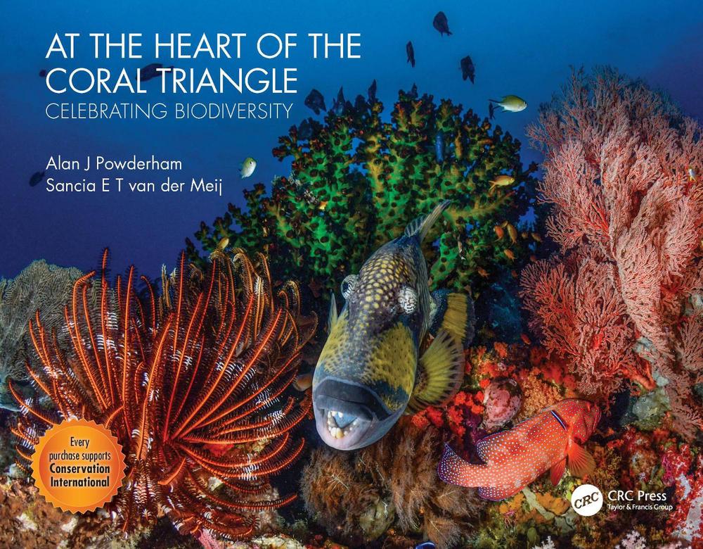 At the Heart of the Coral Triangle by Alan J. Powderham - ISBN: 9780367428167