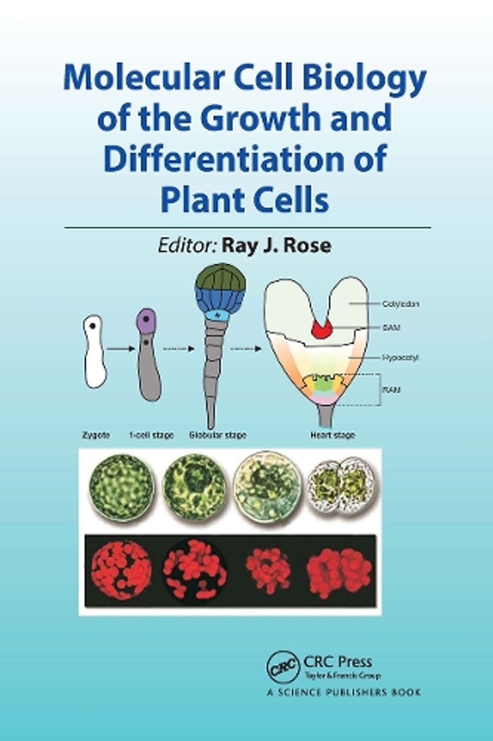 Molecular Cell Biology of the Growth and Differentiation of Plant Cells by Ray J. Rose - ISBN: 9780367782917