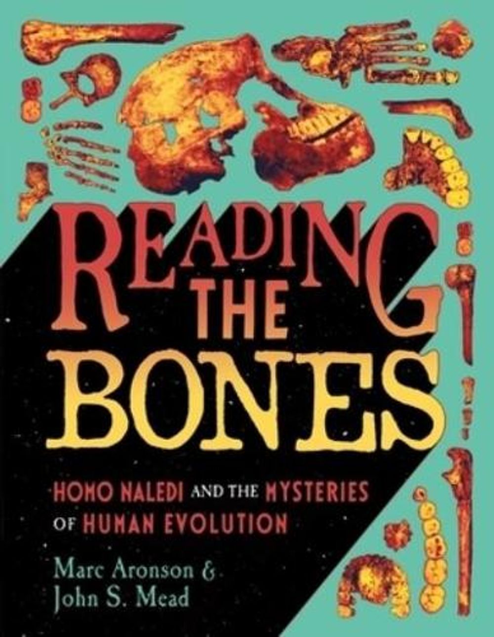 Reading the Bones by Marc Aronson - ISBN: 9780374392314