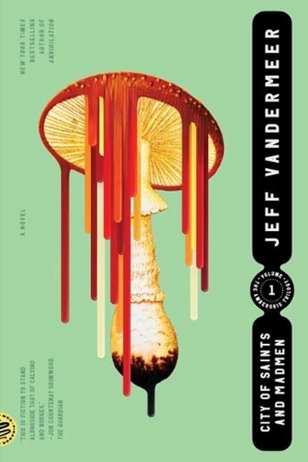 City of Saints and Madmen by Jeff VanderMeer - ISBN: 9780374538606
