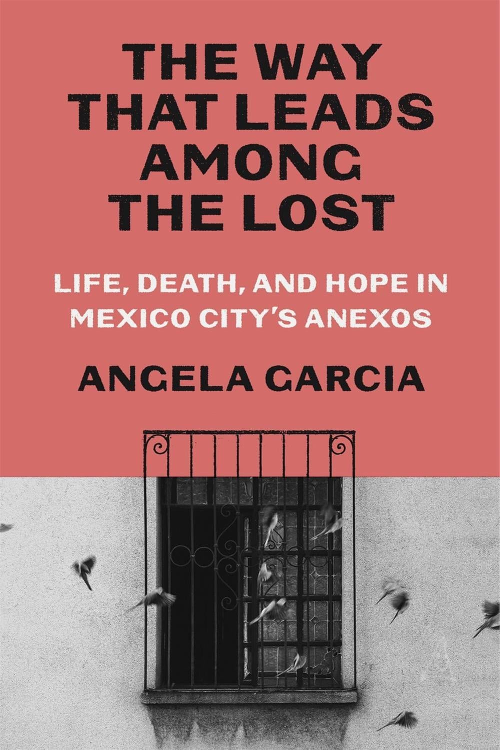 The Way That Leads Among the Lost by Angela Garcia - ISBN: 9780374605780