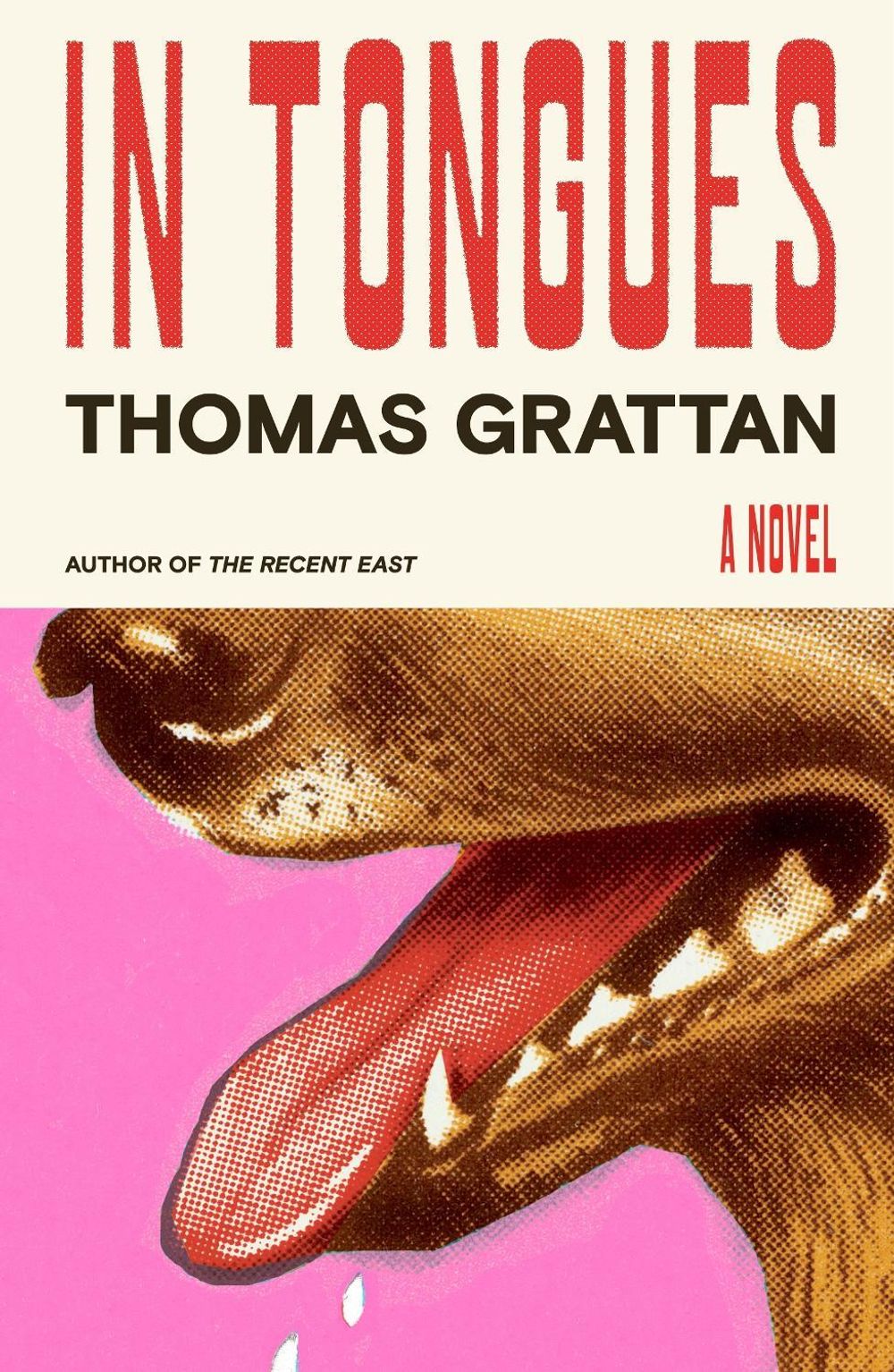 In Tongues by Thomas Grattan - ISBN: 9780374608187