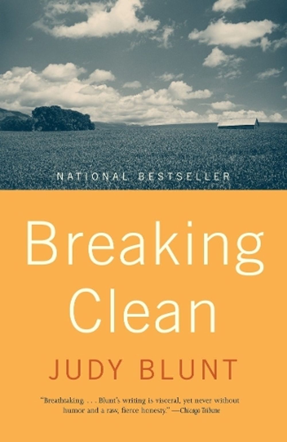 Breaking Clean by Judy Blunt - ISBN: 9780375701306