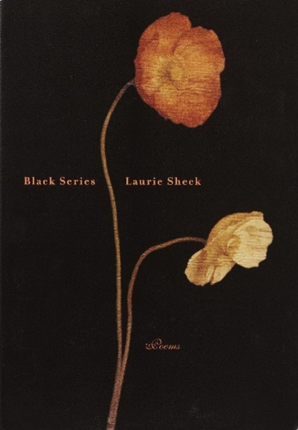 Black Series by Laurie Sheck - ISBN: 9780375709654