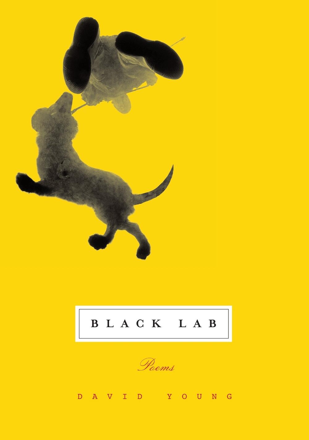 Black Lab by David Young - ISBN: 9780375711299