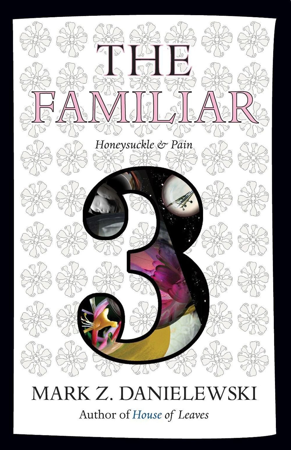 The Familiar, Volume 3 by Mark Z. Danielewski - ISBN: 9780375714986