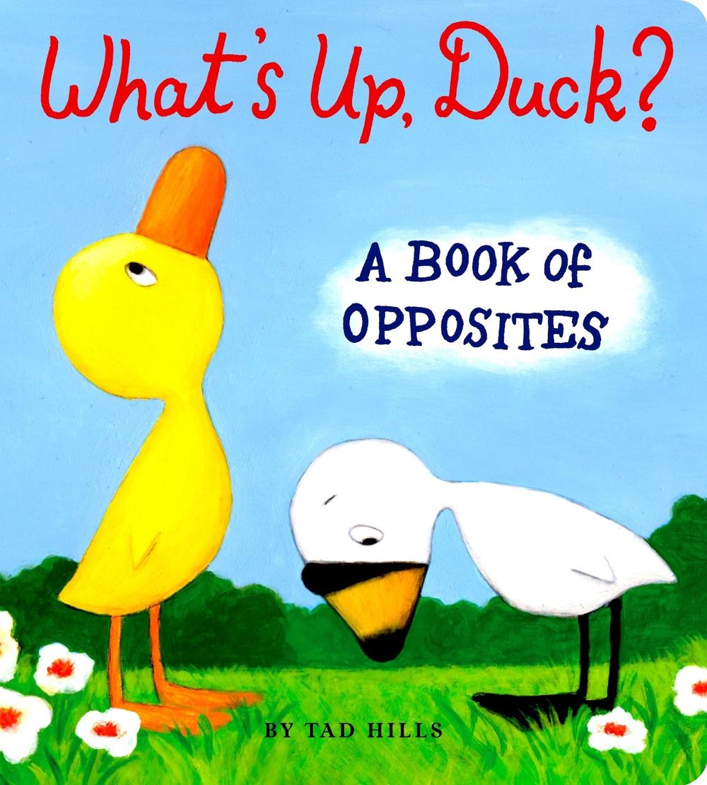 What's Up, Duck? by Tad Hills - ISBN: 9780375847387