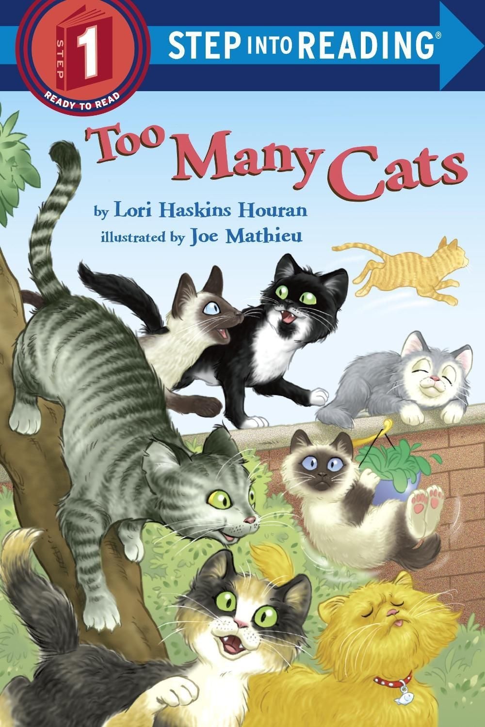 Too Many Cats by Lori Haskins Houran - ISBN: 9780375851971