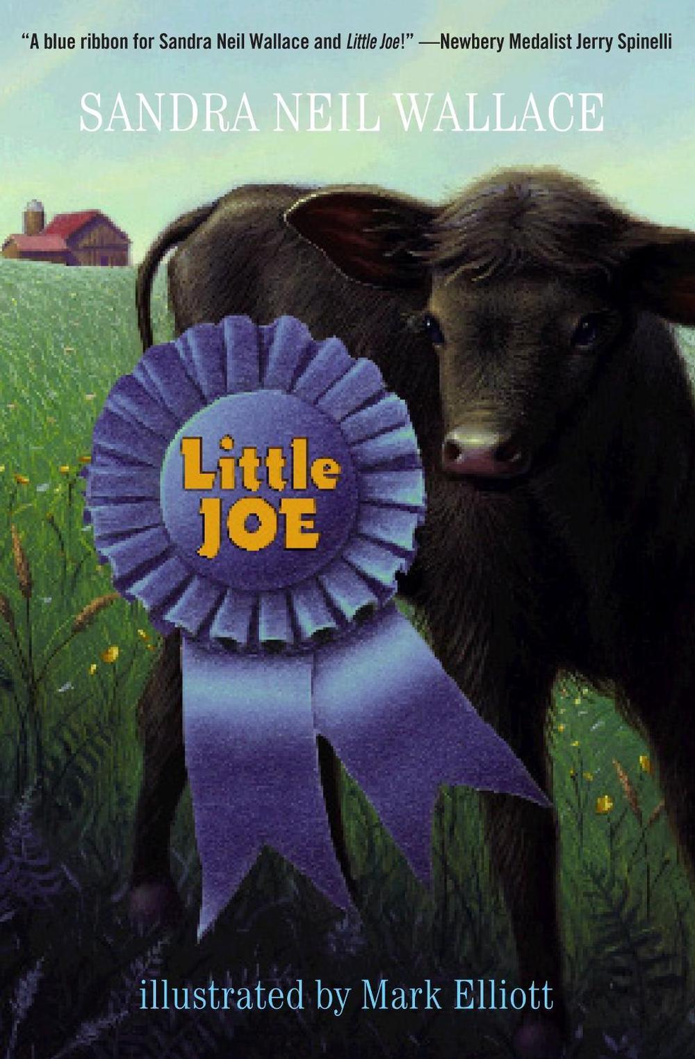 Little Joe by Sandra Neil Wallace - ISBN: 9780375854507