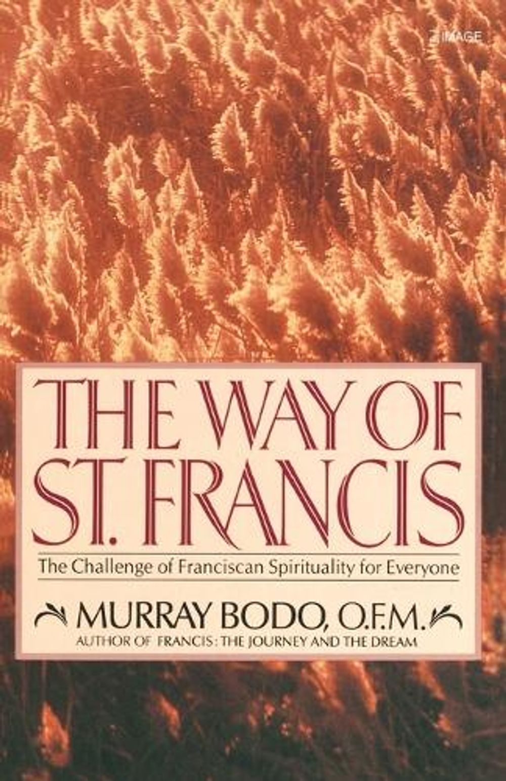 The Way of St. Francis by Murray Bodo - ISBN: 9780385199131