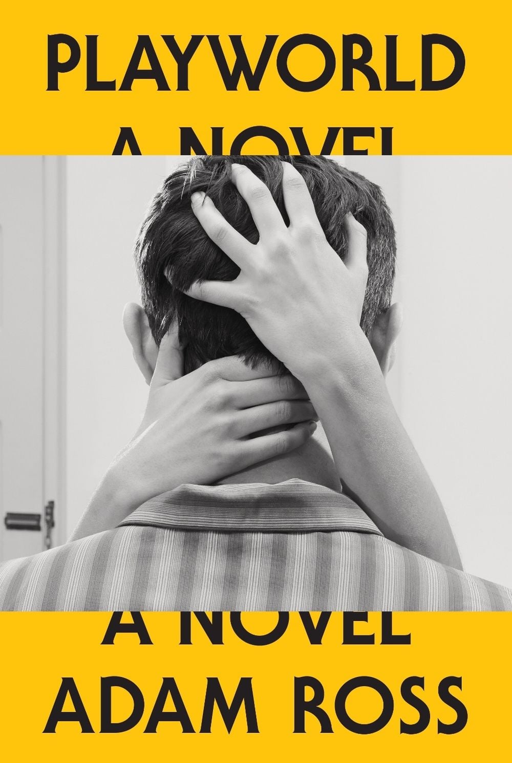 Playworld by Adam Ross - ISBN: 9780385351294