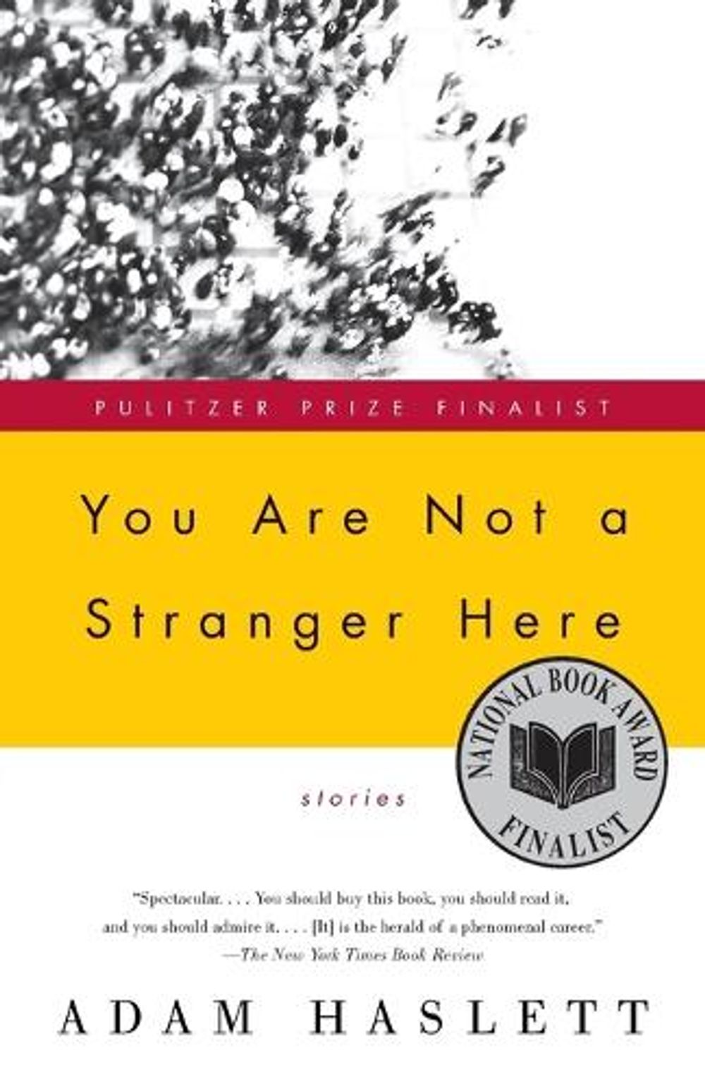 You Are Not a Stranger Here by Adam Haslett, Paperback,