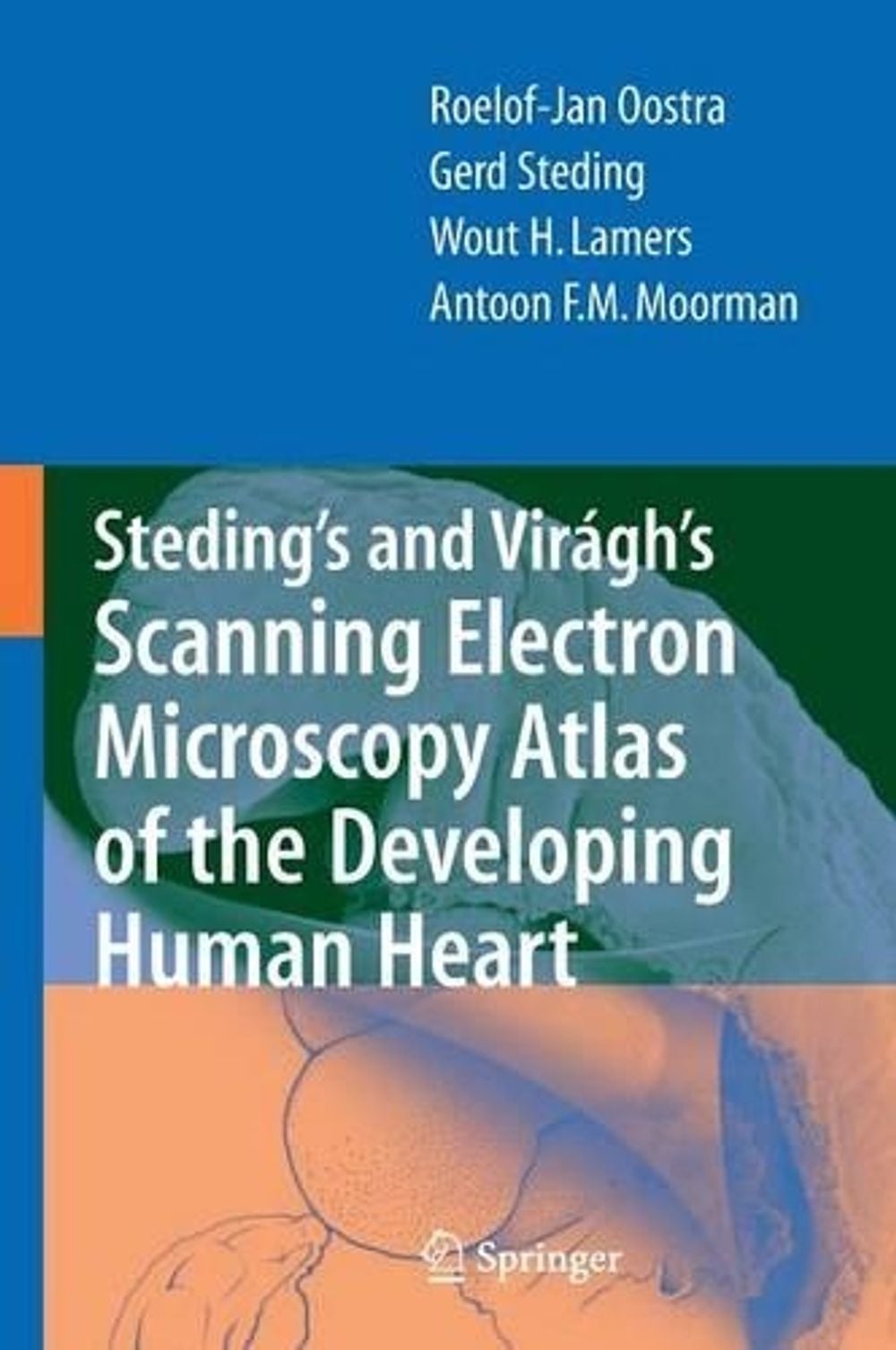 Steding's and Virágh's Scanning Electron Microscopy Atlas of the Developing Human Heart, 2007th Edition by Gerd Steding - ISBN: 9780387369426