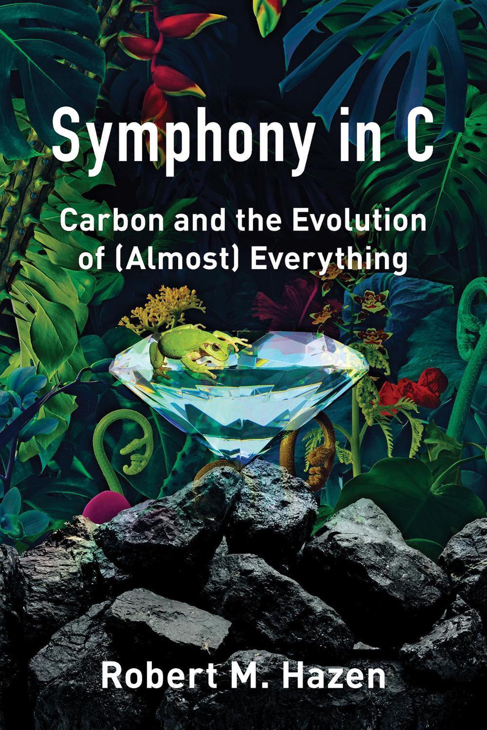 Symphony in C, 9780393609431