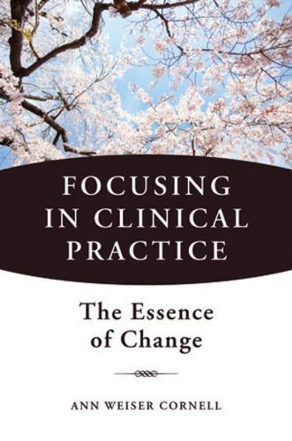 Focusing in Clinical Practice, 1st Edition by Ann Weiser Cornell - ISBN: 9780393707601