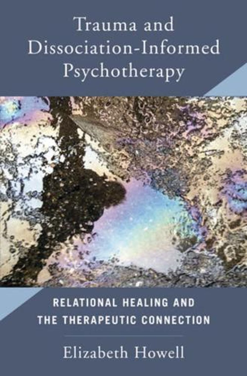 Trauma and Dissociation Informed Psychotherapy by Elizabeth Howell - ISBN: 9780393713732