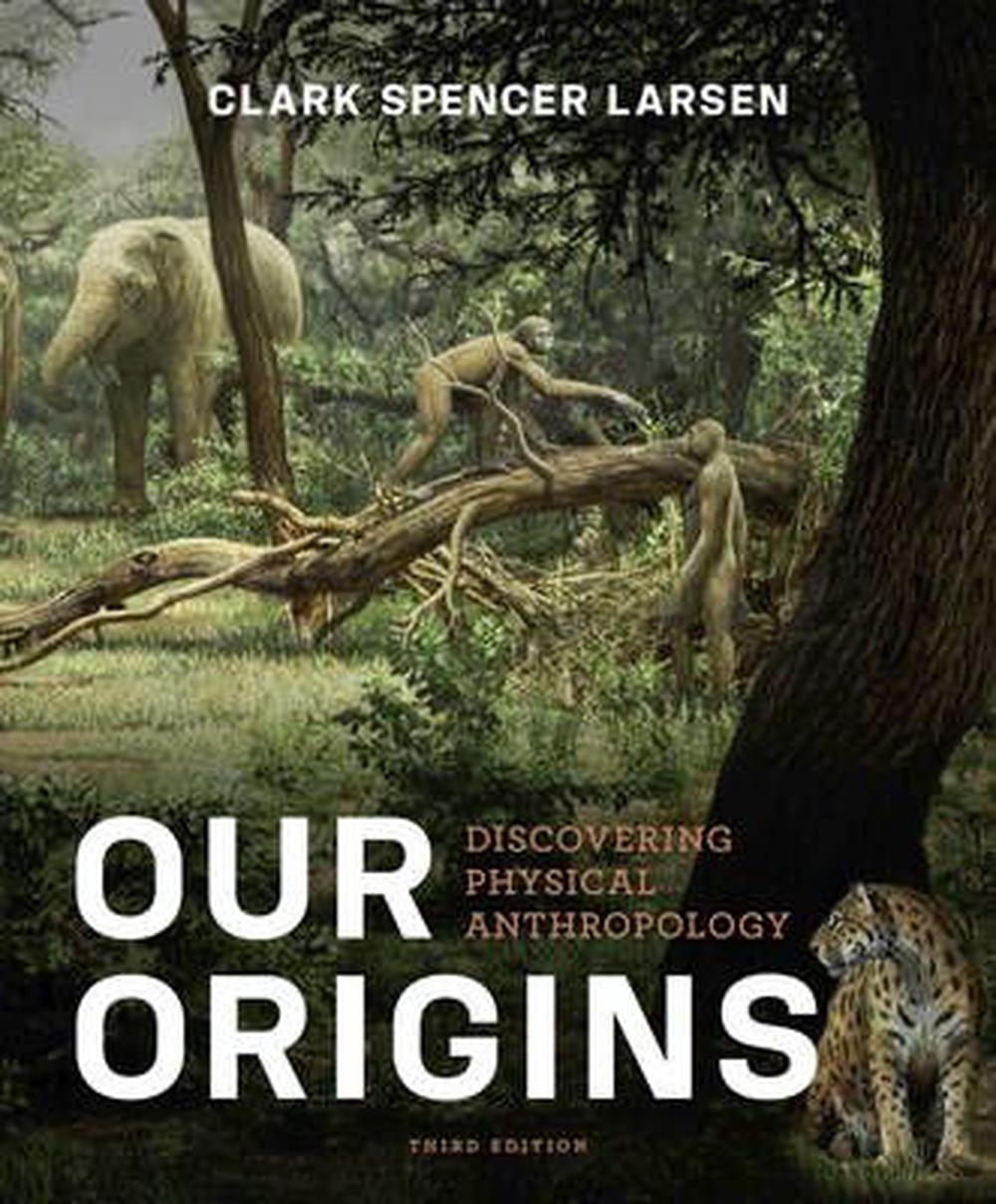 Our Origins Discovering Physical Anthropology, Third Edition by Larsen, Paperback, 9780393921434