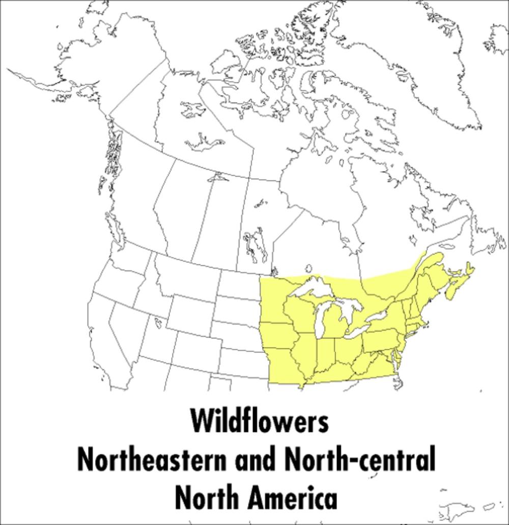 Peterson Field Guide To Wildflowers, A, 9780395911723