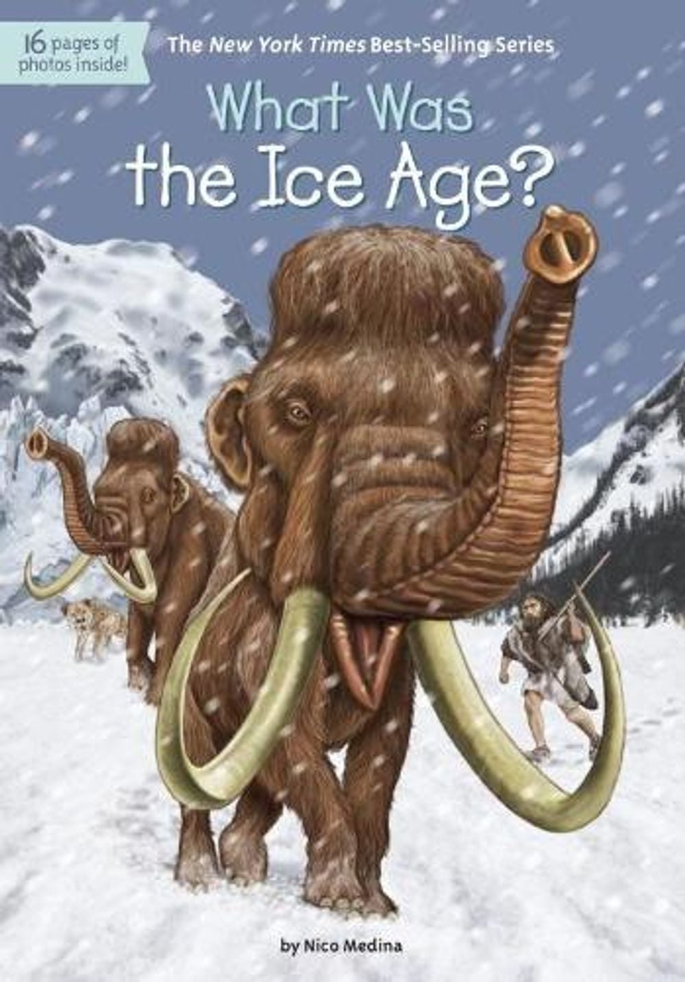 What Was the Ice Age? by Nico Medina - ISBN: 9780399543890