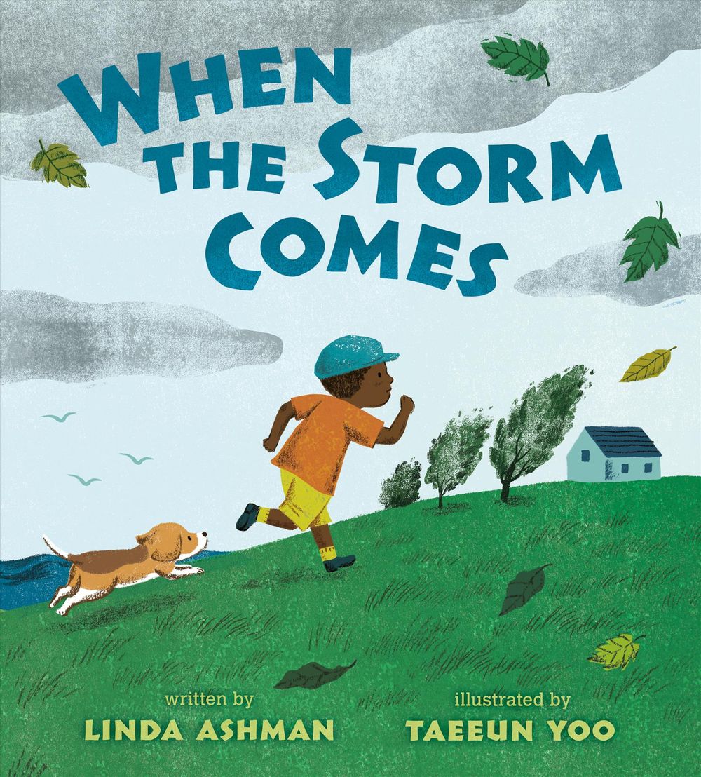 When the Storm Comes by Linda Ashman - ISBN: 9780399546099