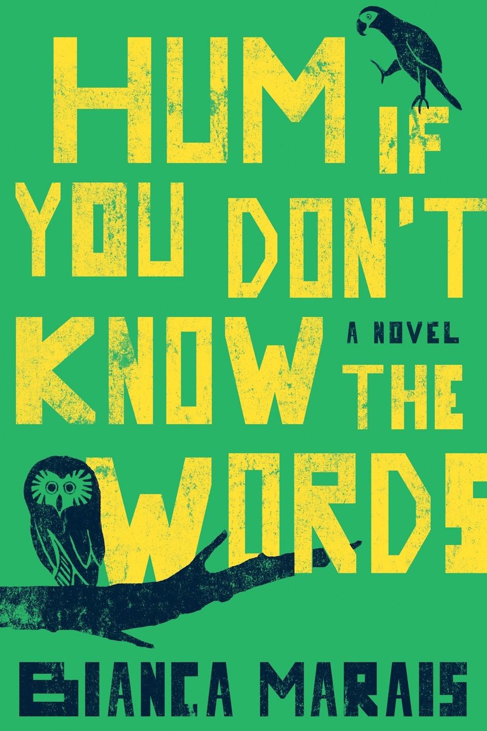 Hum If You Don't Know the Words by Bianca Marais - ISBN: 9780399575082