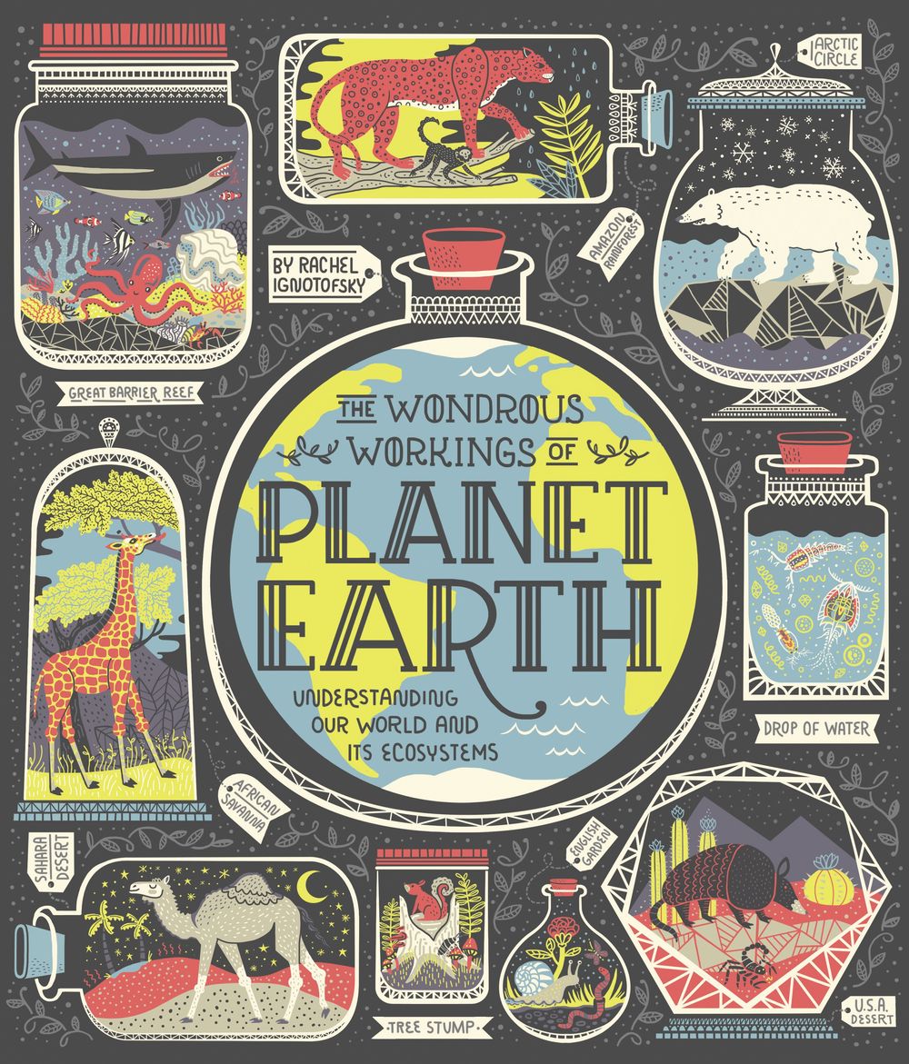 The Wondrous Workings of Planet Earth by Rachel Ignotofsky - ISBN: 9780399580413